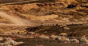 Big Fish创意副总裁Jason Mai：我学习做合成游戏6个月的思考